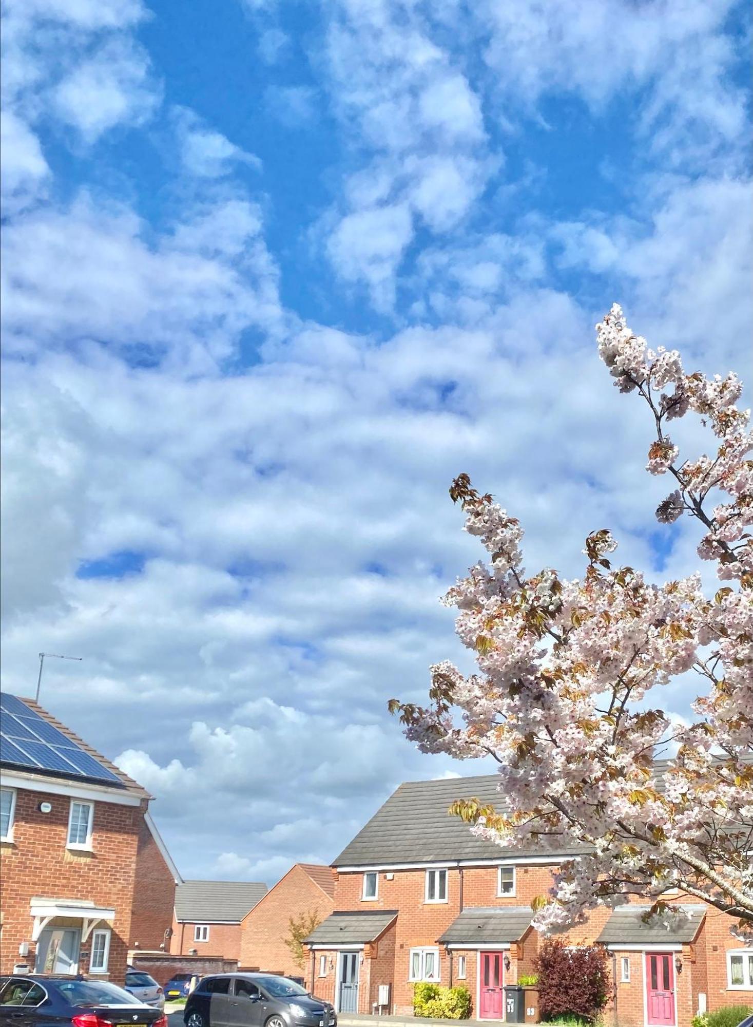 Holiday home Free Private Parking! Oakley House And Garden! Fully Equipped 4 Comfy Beds